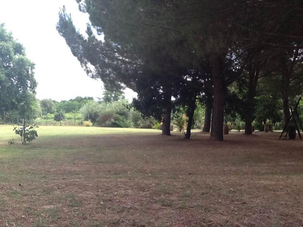 Campo Alle Monache Bucine Exterior photo