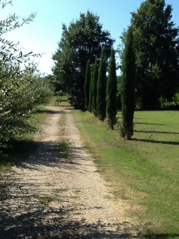 Campo Alle Monache Bed & Breakfast Bucine Exterior photo