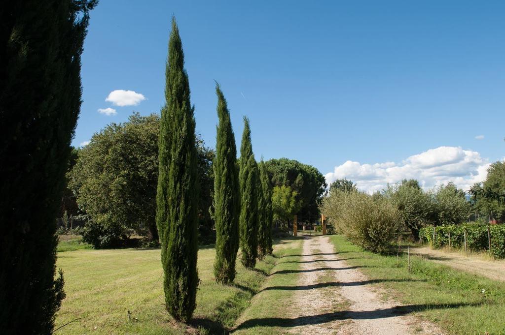 Campo Alle Monache Bed & Breakfast Bucine Exterior photo