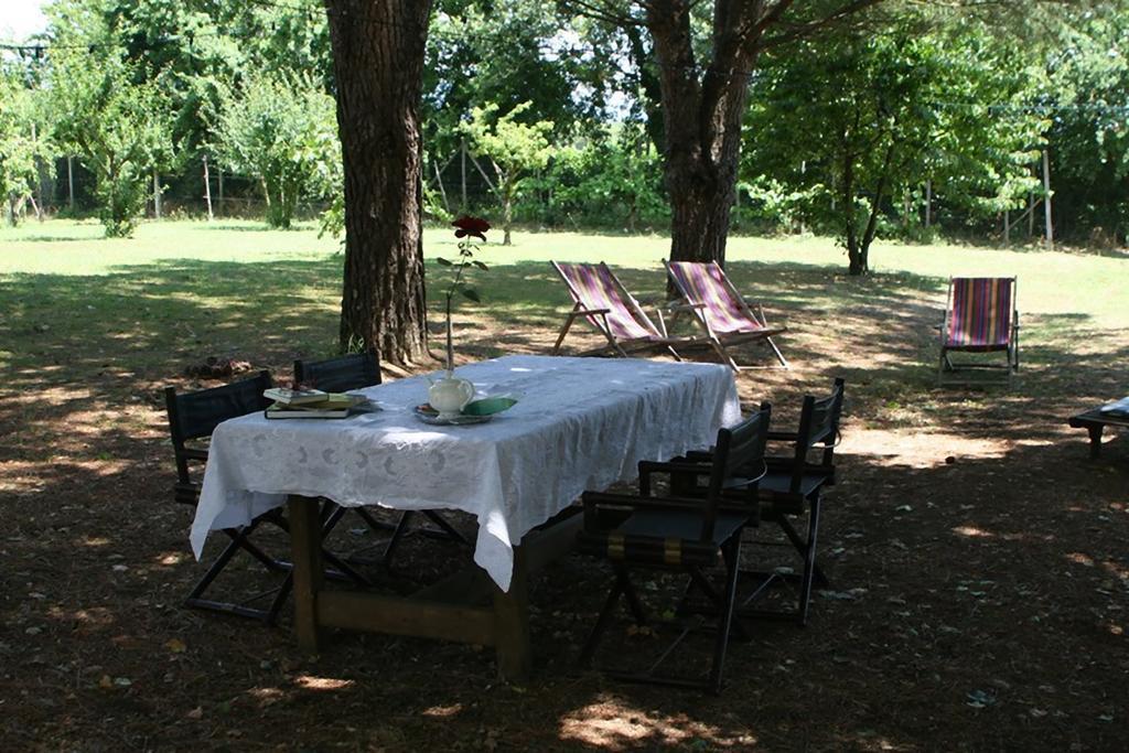 Campo Alle Monache Bucine Exterior photo