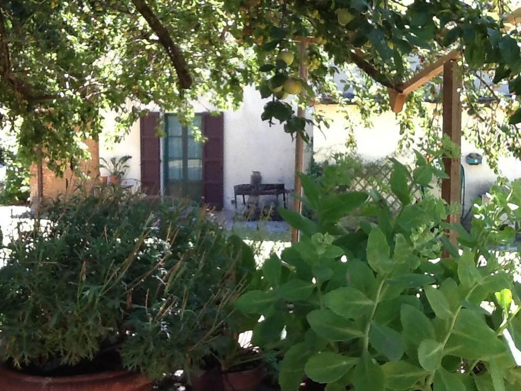 Campo Alle Monache Bucine Exterior photo