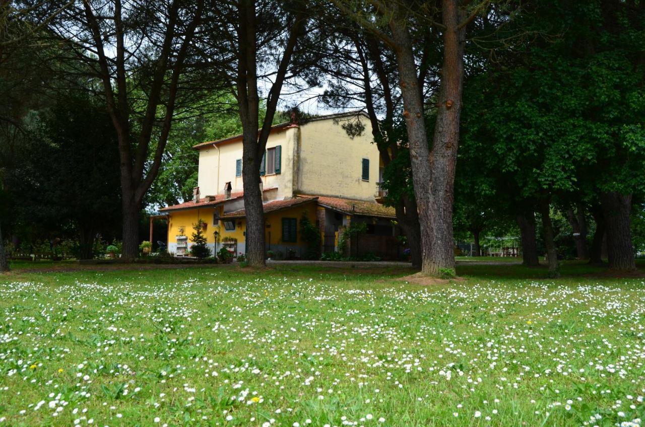 Campo Alle Monache Bed & Breakfast Bucine Exterior photo